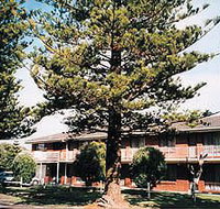 Eastern Beach Holiday Units - Accommodation QLD
