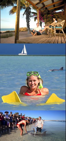  Accommodation QLD