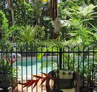 Daintree Rainforest Retreat Motel - Accommodation QLD