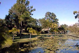 Theebine QLD Accommodation QLD
