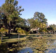 Twin Lakes Hotel - Accommodation QLD