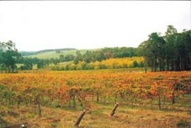 Brookhampton WA Accommodation QLD