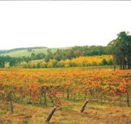 Byramgou Park - Accommodation QLD