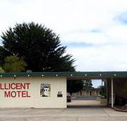 Millicent Motel - Accommodation QLD