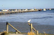 Port Macdonnell SA Accommodation QLD