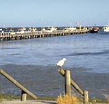 Seaview Motel and Holiday Units - Accommodation QLD