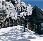 Arlberg Hotel Mt Buller - Accommodation QLD