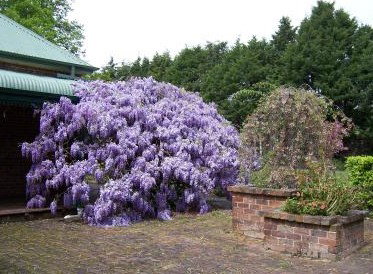 Heronswood House - Accommodation QLD 2