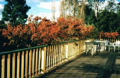 Heronswood House - Accommodation QLD 5