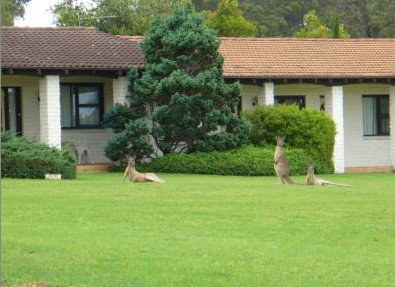 The Oaks Ranch & Country Club - Accommodation QLD 1