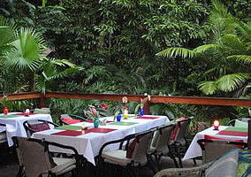 Daintree Rainforest Retreat Motel - Accommodation QLD 1