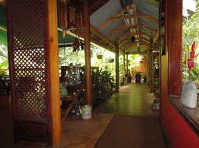 Daintree Rainforest Retreat Motel - Accommodation QLD 2