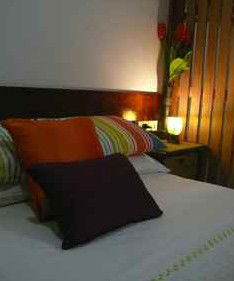 Daintree Rainforest Retreat Motel - Accommodation QLD 3