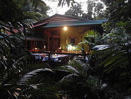 Daintree Rainforest Retreat Motel - Accommodation QLD 4