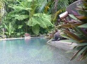 Daintree Rainforest Retreat Motel - Accommodation QLD 5