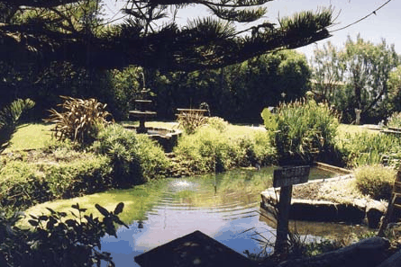 Bayside Gardens - Accommodation QLD
