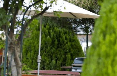 Beechworth Carriage Motor Inn - thumb 3