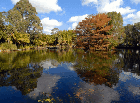 BIG4 Maroochy Palms Holiday Village - Accommodation QLD 2