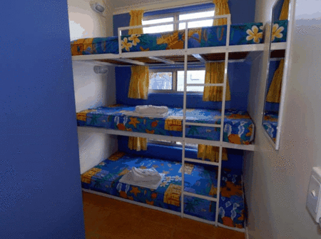 BIG4 Maroochy Palms Holiday Village - Accommodation QLD 3