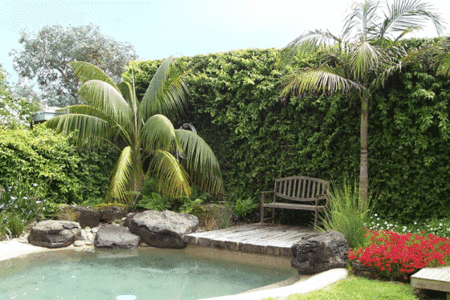 The Tropicana Motor Inn - Accommodation QLD 2