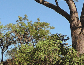 Lakeview Apartments Kununurra - Accommodation QLD 3