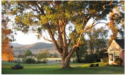 Belltrees Country House - Accommodation QLD 2