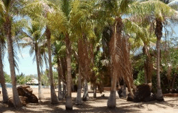 King Sound Resort Hotel - Accommodation QLD