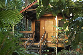 Cape Tribulation QLD Accommodation QLD
