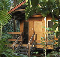 Cape Trib Beach House - Accommodation QLD