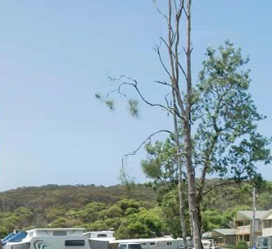 Merry Beach Caravan Park - Accommodation QLD 2