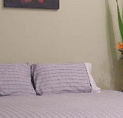 Stingo Hotel - Accommodation QLD