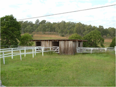 Jacaranda Motor Lodge - Accommodation QLD 1