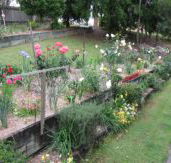 Kintail Homestay - Accommodation QLD