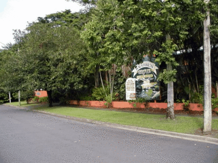 Rainforest Grove Holiday Resort - Accommodation QLD 2