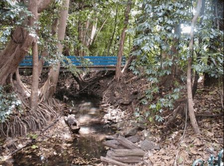 Rainforest Grove Holiday Resort - Accommodation QLD 3