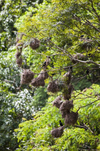 Lake Placid Tourist Park - Accommodation QLD 4