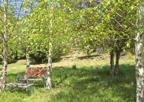 Tomah Mountain Lodge - Accommodation QLD 2