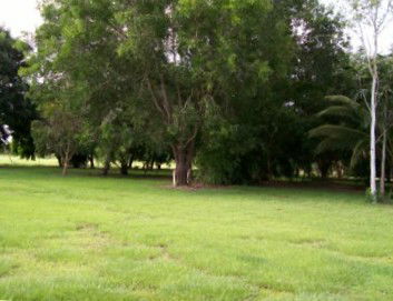 Daly River Mango Farm - Accommodation QLD 1