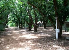 Daly River Mango Farm - Accommodation QLD 4