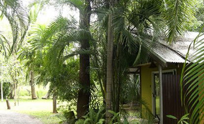 Rum Jungle Bungalows - Accommodation QLD 3