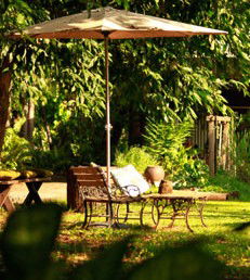 Rum Jungle Bungalows - Accommodation QLD 4