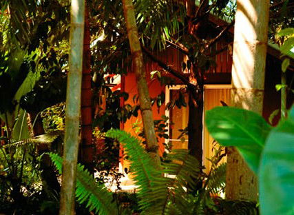 Rum Jungle Bungalows - Accommodation QLD 5
