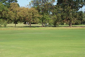 Beach Motor Inn - Accommodation QLD 7