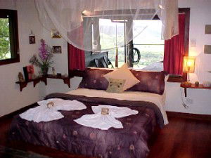 Daintree Cloud 9 - Accommodation QLD 0
