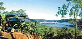 Daintree Cloud 9 - Accommodation QLD 1