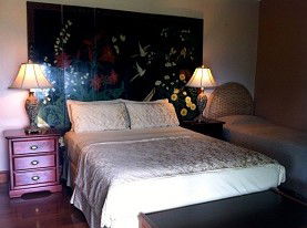 Daintree Manor - Accommodation QLD 0