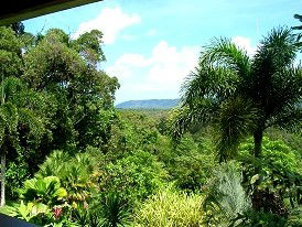 Daintree Manor - Accommodation QLD 3