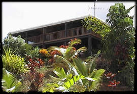 Daintree Manor - Accommodation QLD 5