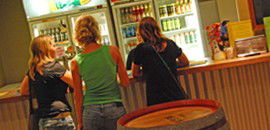 Toddy's Backpackers Resort - Accommodation QLD 3