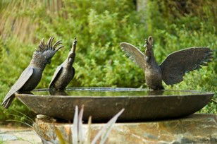 Cladich Pavilions - Accommodation QLD 1